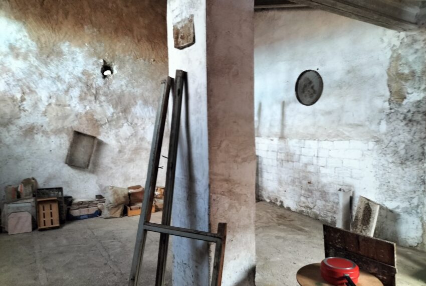 WhatsApp Image 2025-10-21 at 12.39.13(1)