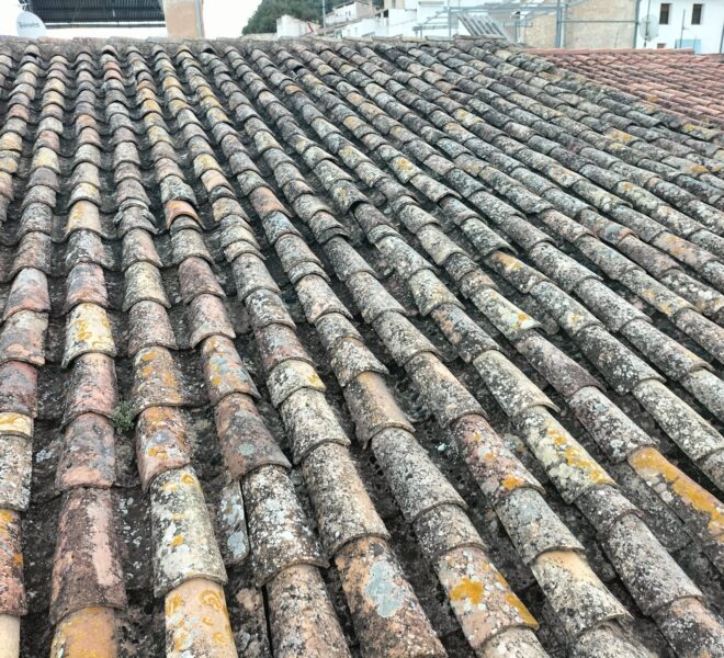 WhatsApp Image 2025-10-21 at 12.39.13(8)