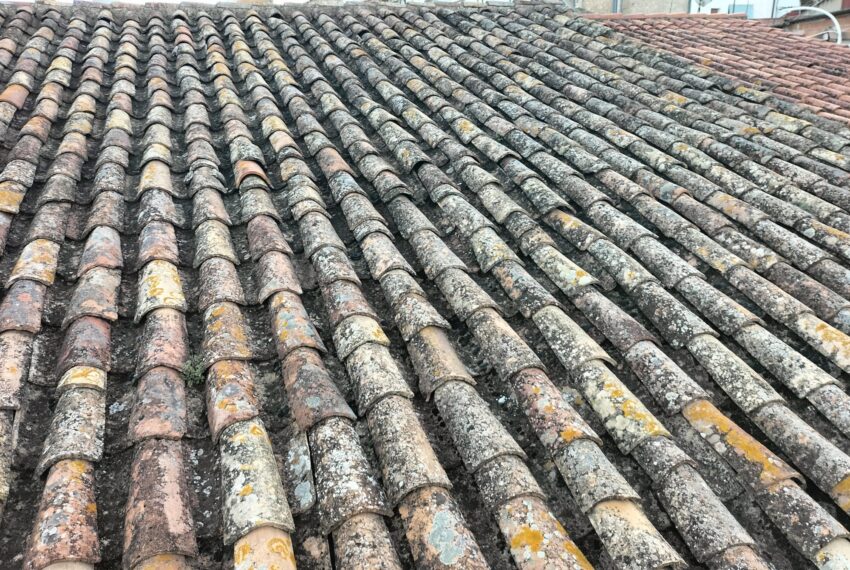 WhatsApp Image 2025-10-21 at 12.39.13(8)